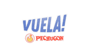 Car Paraguay Sticker by Pechugon
