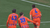 Football Celebrate GIF by FC Schalke 04