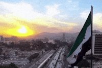 Syria Alaa GIF