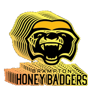 Basketball Nba Sticker by Brampton Honey Badgers