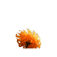 Flower Lifeway Vbs Sticker by Olivia Waugh