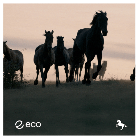 To The Moon Crypto GIF by Eco