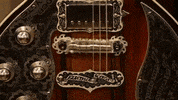 tennessee GIF