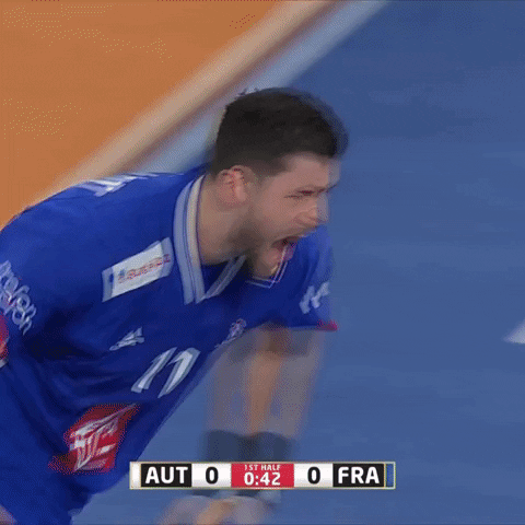 Ffhandball GIF by Fédération Française de Handball