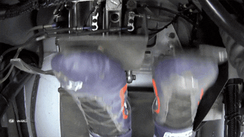 Motorsport Driving GIF by FIA World Rally Championship