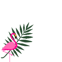 jungle flaming Sticker by Colorshake