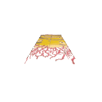 David Choe Loop Sticker