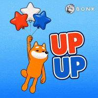 Crypto Usa GIF by BONK