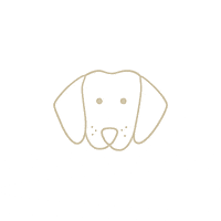 itscahrispetservices dog pet dachshund woof GIF