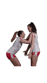 Volleyball Austria Sticker by win2day Beach Volleyball Tour PRO