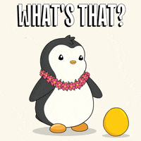 Oh My God What GIF by Pudgy Penguins