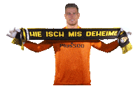 David Von Ballmoos Goalkeeper Sticker by BSC Young Boys
