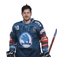 Hockey Hokej Sticker by HC Škoda Plzeň