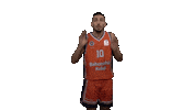 Gameday Reddragons Sticker by bkbasketbol