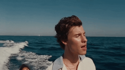 Summer Of Love GIF by Shawn Mendes