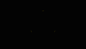 Moving Jesus Christ GIF by Bibel TV