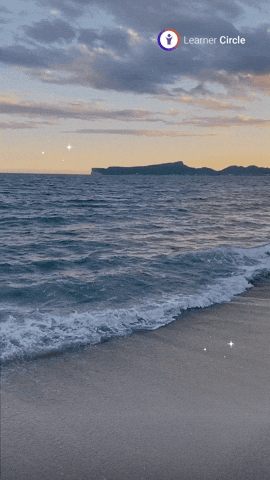 GIF by Learner Circle