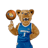New York Basketball Sticker by Hofstra University