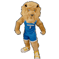 New York Basketball Sticker by Hofstra University
