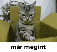 Rasreact GIF by Profession Kreativ