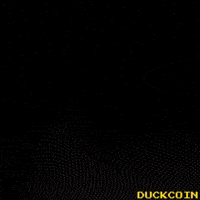 Lets Go Running GIF by Duck Race GP