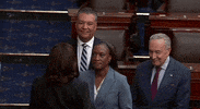 Kamala Harris California GIF by GIPHY News