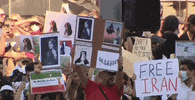 Protest Iran GIF by GIPHY News