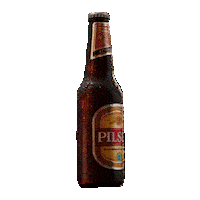 Cerveza Nacional Sticker by Pilsen Uruguay