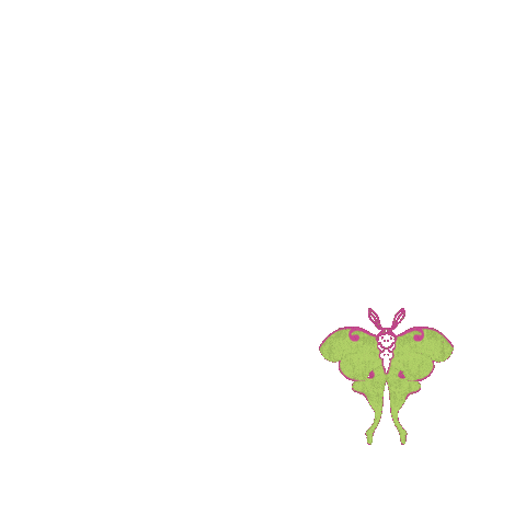 Fly Bug Sticker