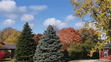 Fall Colors Brighten Eastern Illinois