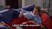 GIF by Call Me Kat