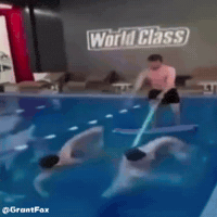 Water Swimming GIF
