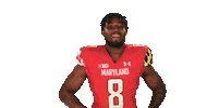 College Football Sticker by Maryland Terrapins