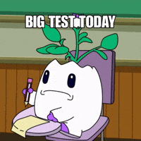 Test Study GIF by Magic Eden