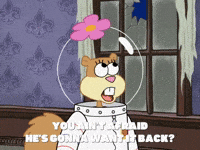 season 8 episode 10 GIF by SpongeBob SquarePants