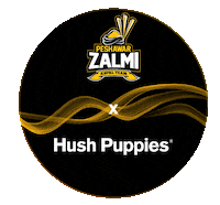 HushPuppiesPK puppies hush zalmi peshawar Sticker