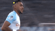 celebration home GIF by Olympique de Marseille