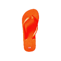 Flip Flop Sticker by Raised by Latinos