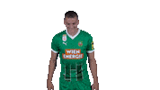 Rapid Wien Austria Sticker by SK Rapid