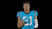 North Carolina Reaction GIF by Carolina Panthers