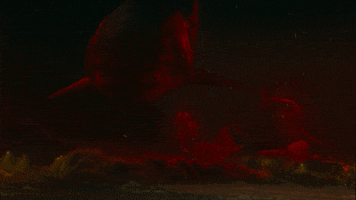 Ocean Wtf GIF by Warner Bros. Deutschland