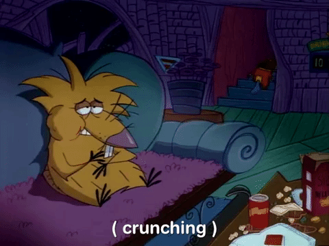 nickrewind giphydvr nicksplat angry beavers giphyab013 GIF
