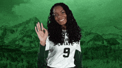 Volleyball GIF by Colorado State Rams