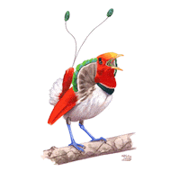 Bird Cenderawasih Sticker by econusa