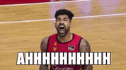 Liga Endesa Basketball GIF by ACB