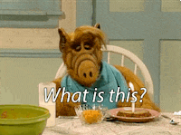 Confused What Is It GIF