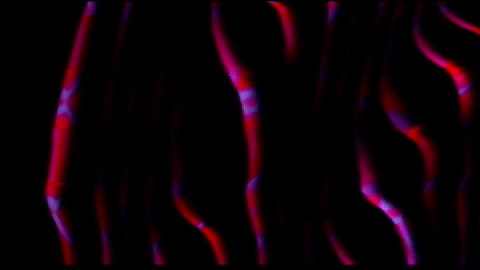 Video Art GIF by cskonopka