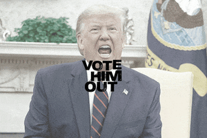 votehimoutinc biden harris biden 2020 vote him out votehimout GIF