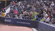 Baseball Demolish GIF by Homer the Dragon