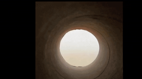 Simongip giphygifmaker GIF